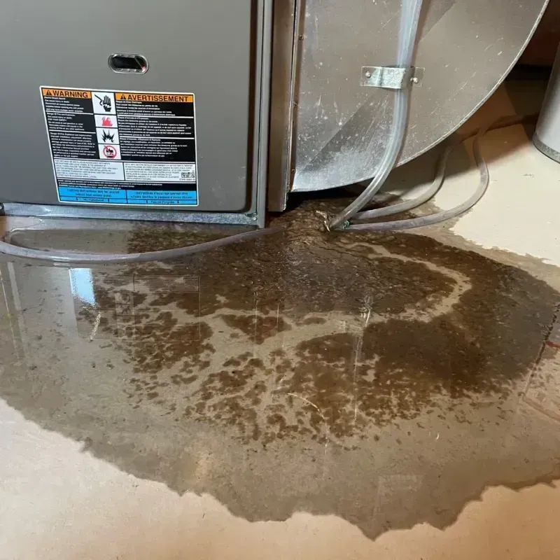 Appliance Leak Cleanup in City of Williamsburg, VA